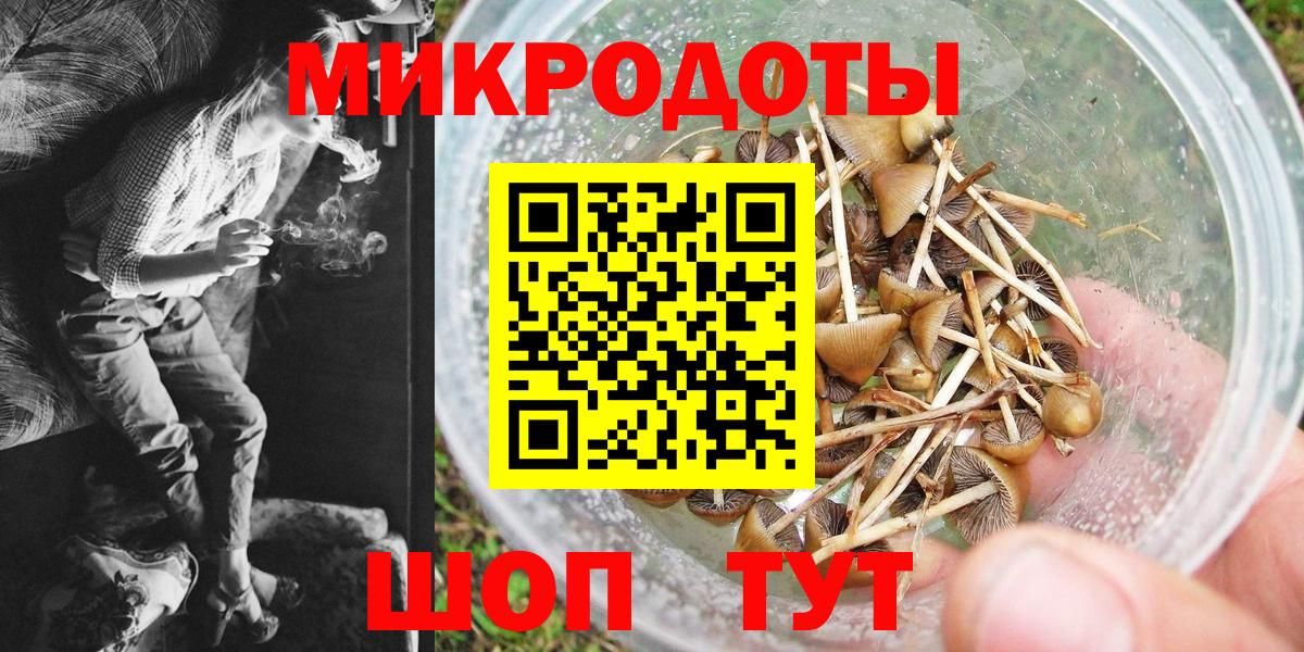 Псилоцибиновые грибы Magic Shrooms Шахты
