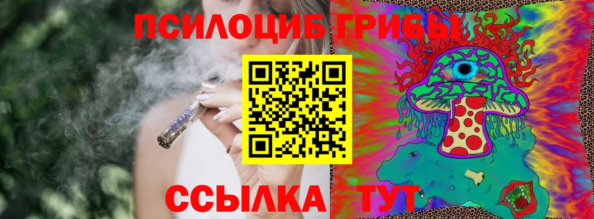 Шахты  Псилоцибиновые грибы GOLDEN TEACHER  Вход с VPN  Галлюциногенные грибы GOLDEN TEACHER 